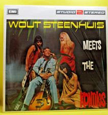 WOUT STEENHUIS Meets THE