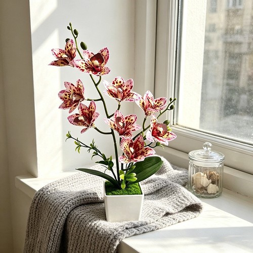 Realistic cymbidium orchid - realistic,