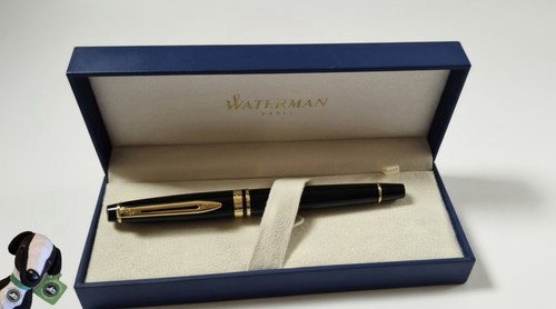 Waterman expert fountain - waterman, pen