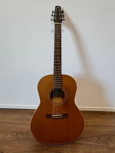 Seagull folk acoustic - folk,