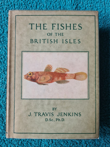 Wayside woodland fishes of - wayside,