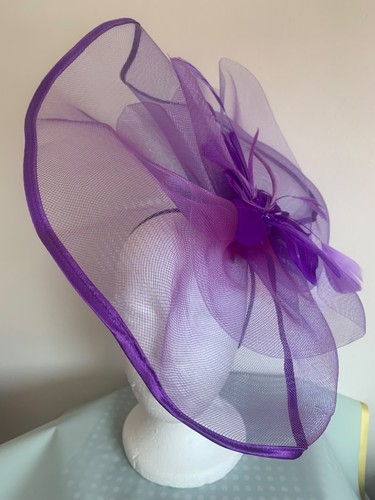 Gorgeous purple fascinator - gorgeous,