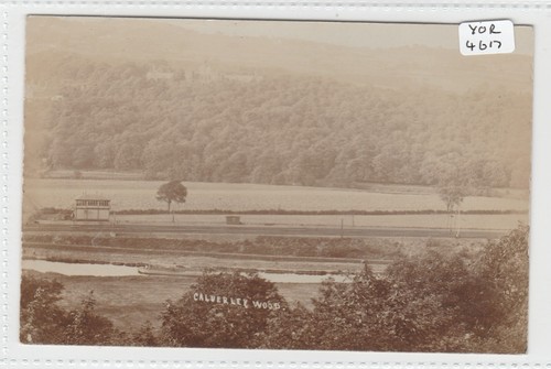 Calverley yorkshire the wood - ,