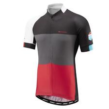 Madison Sportive Men's Short