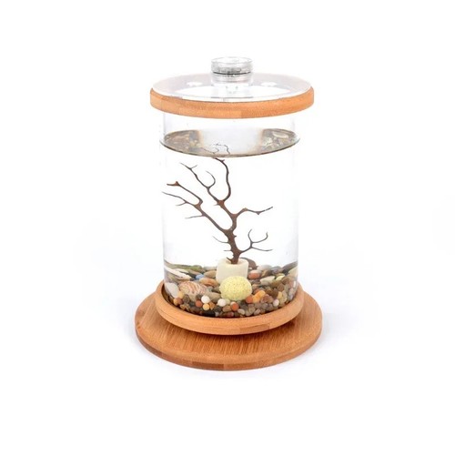 Led cylindrical fish tank - fish, mini