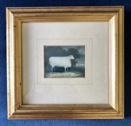 Framed miniature naive - miniature,