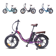 20" Electric Bike 18AH Power