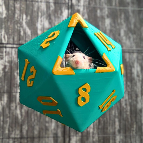 Fantasy rat cage accessories - cage,