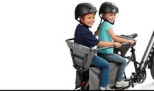 Radio Flyer Kid and Cargo