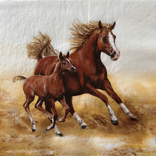 Luncheon paper napkins for - 2,