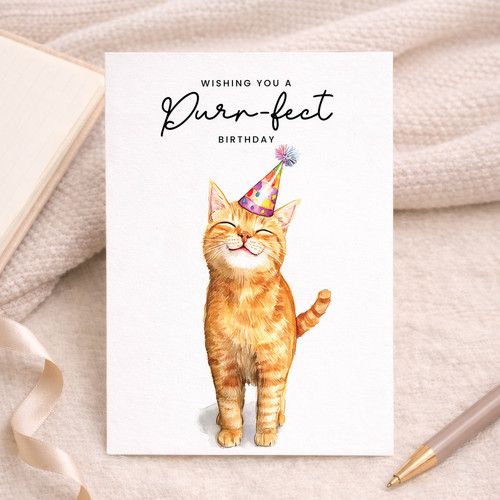 Orange ginger cat - ginger, birthday