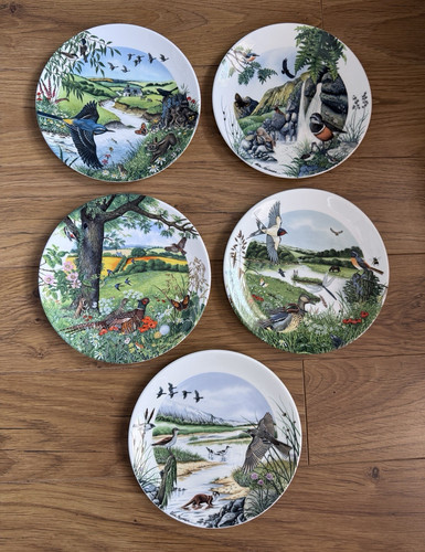 Wedgwood colin newman panorama - colin,