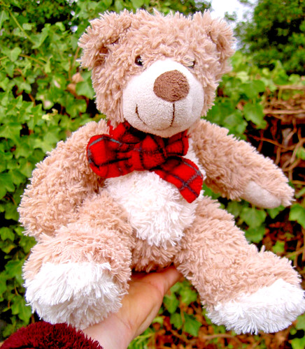 Soft fluffy friendly - soft,