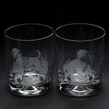 Wheaten Terrier Dog Whiskey
