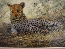 TONY FORREST 'YOUNG LEOPARD' FRAMED ORIGINAL OIL ON BOARD