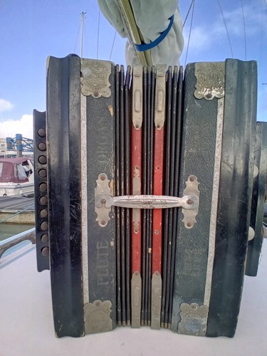 Antoria flute organ accordion - antoria,