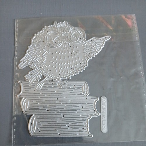 Tattered lace study owl card - lace,