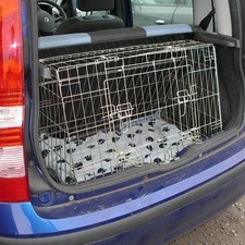 Fiat Panda Sloping Dog pet