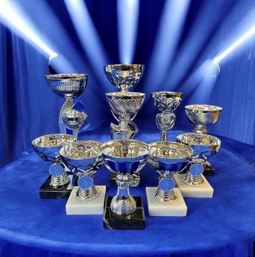 Mixed cup trophies awards - 10,