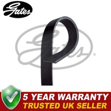 Gates V-Ribbed Belts Fits