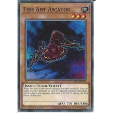 Fire Ant Ascator LDS3-EN046