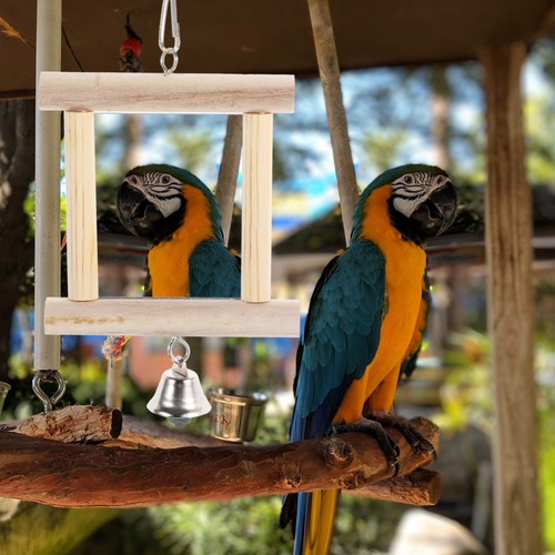 Wooden bird mirror parrot - bird, toy
