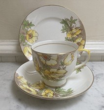Vintage Salisbury fine bone