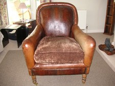 Stunning tetrad crocodile back - stunning,