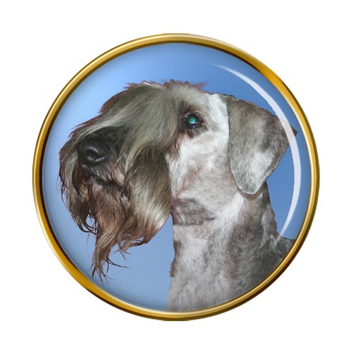 Cesky terrier lapel - terrier,
