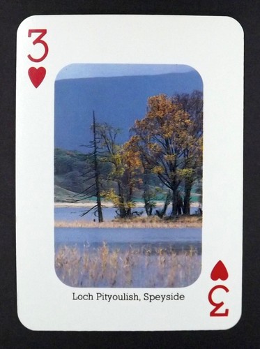 Playing card scottish - x,