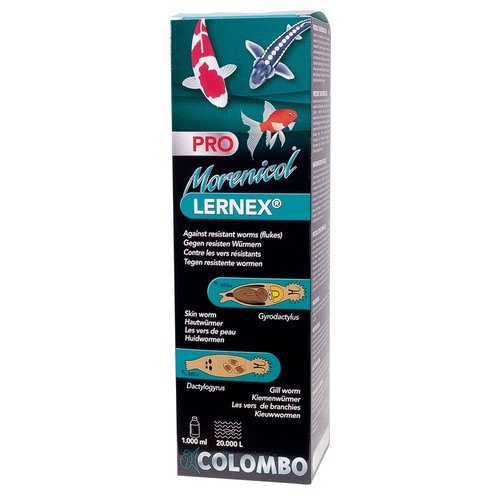 Colombo morenicol lernex - lernex, pro
