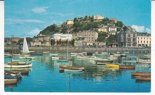 Torquay harbour devon postcard - torquay,