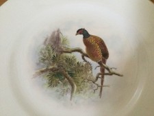 Vintage Royal  Worcester Pheasant Bird Plate c1950s