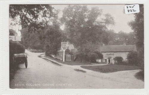 Chertsey surrey golden grove - chertsey,