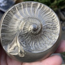 A VERY RARE HAND SIZED SIZEDPYRITE GOLDEN POLISHED AMMONITE WHITBY FOSSIL NODULE