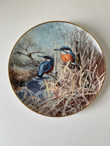 Coalport kingfisherat dawn - coalport,