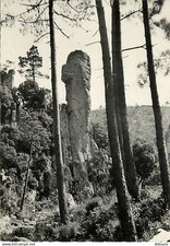 06 - Alpes Maritimes - In the