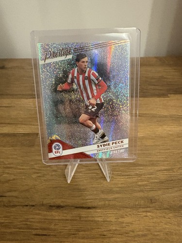 Panini efl prestige - 2025/26,