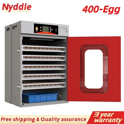 Commercial digital egg - commercial,