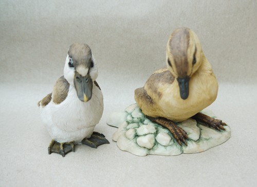Teviotdale ducks figures - teviotdale,