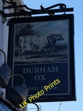 Photo 6x4 Durham Ox on Norwood, Beverley  c2015