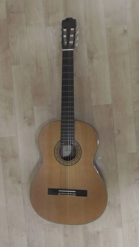 Takamine vintage - takamine, no.30