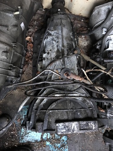 Jaguar v12 automatic - 6.0l,