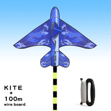 Yongjian Plane Kites with