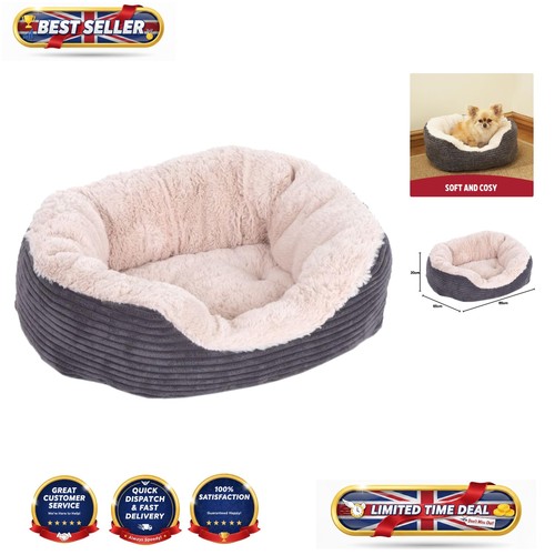 Luxury large dog - large,