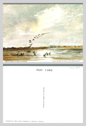 Vintage postcard brent geese - vintage,
