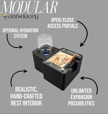 Modular 0:1 Founding Nest