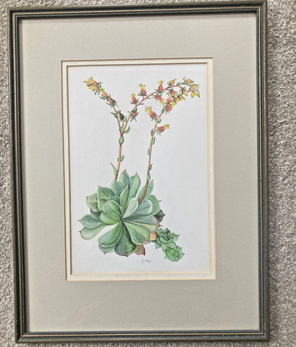 Vintage botanical style - vintage,