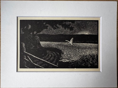 Vintage wood engraving - ,