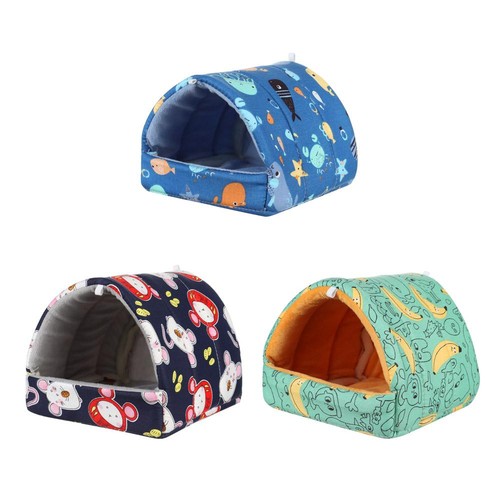 Squirrel hamster house guinea - squirrel,